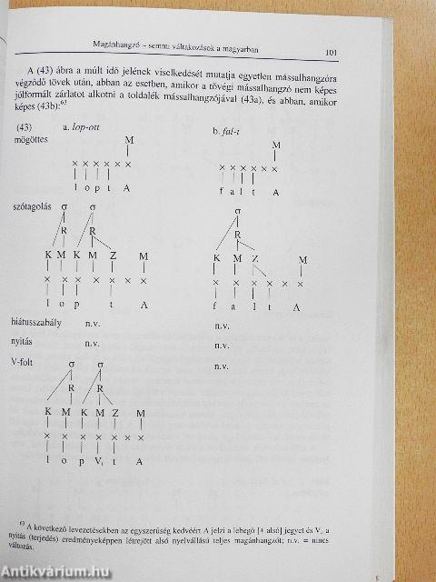 Nyelvtudományi Közlemények 97.