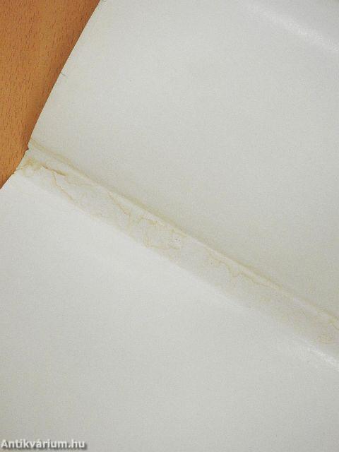 Asszony az Arktiszon