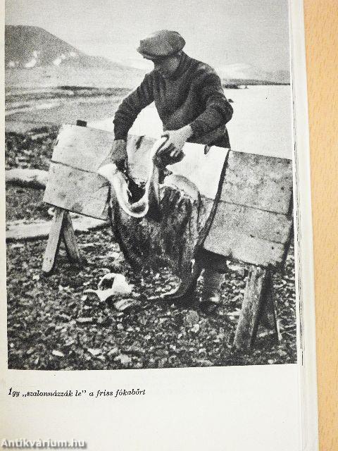 Asszony az Arktiszon