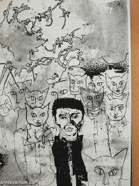 Macskaváros krónikája