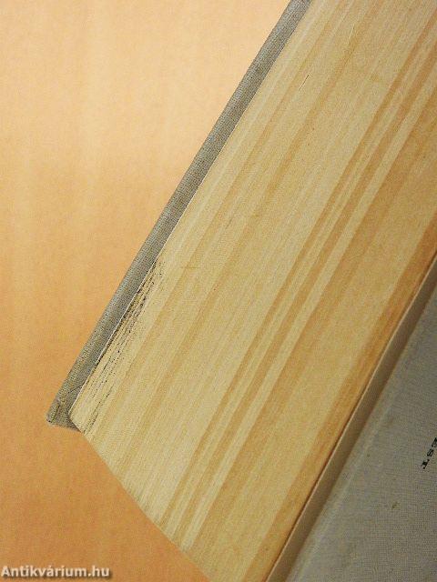 Angol-magyar kéziszótár