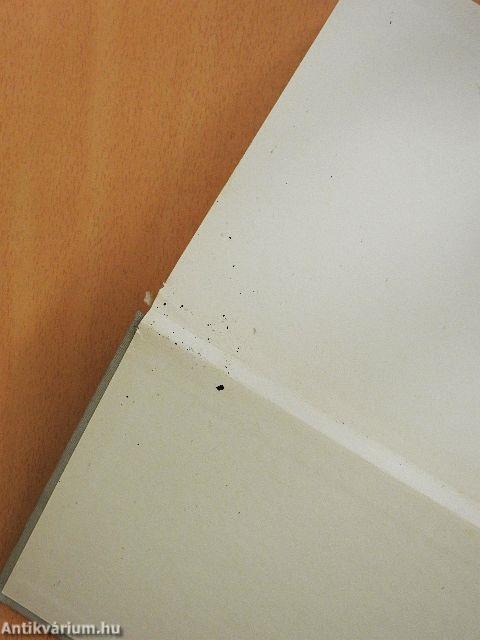 Angol-magyar kéziszótár