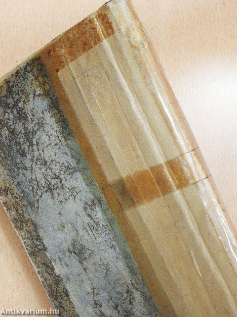 Az aranyszőke fogoly (rossz állapotú)