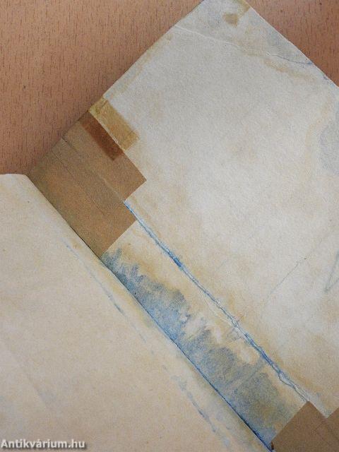 Az aranyszőke fogoly (rossz állapotú)