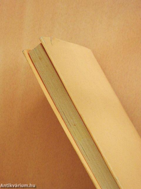 Gróf Széchenyi István utolsó évei és halála