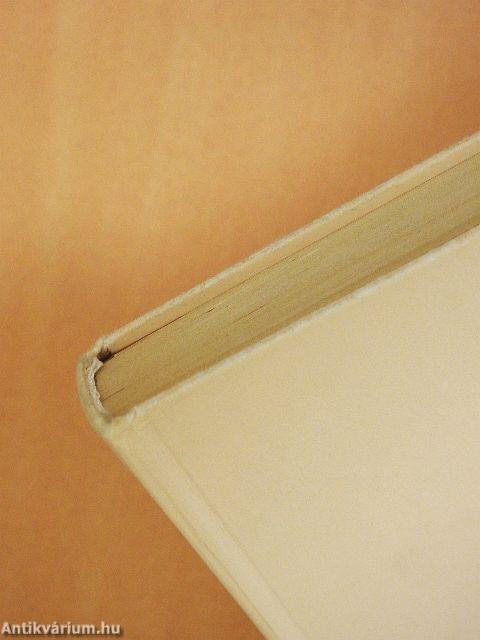 Párnámon anyám ujjának melege