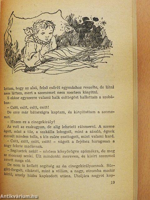 Kincskereső kisködmön