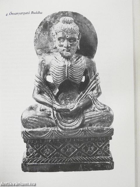 Buddha beszédei