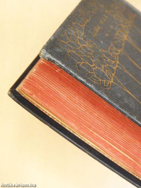 A falu jegyzője I-II.