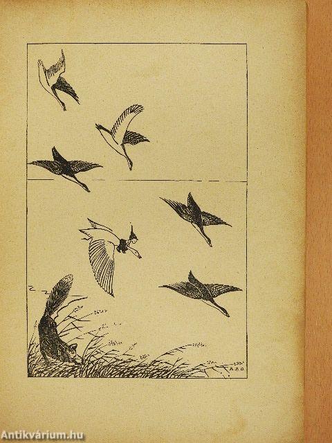 Csodálatos utazás (rossz állapotú)