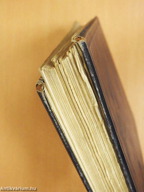 A képirás régi nagy mesterei szines képekben (rossz állapotú)