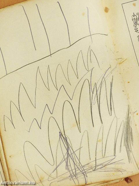 Virágregék (rossz állapotú)