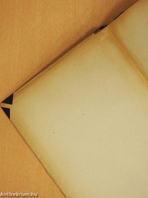 Paletta (rossz állapotú)