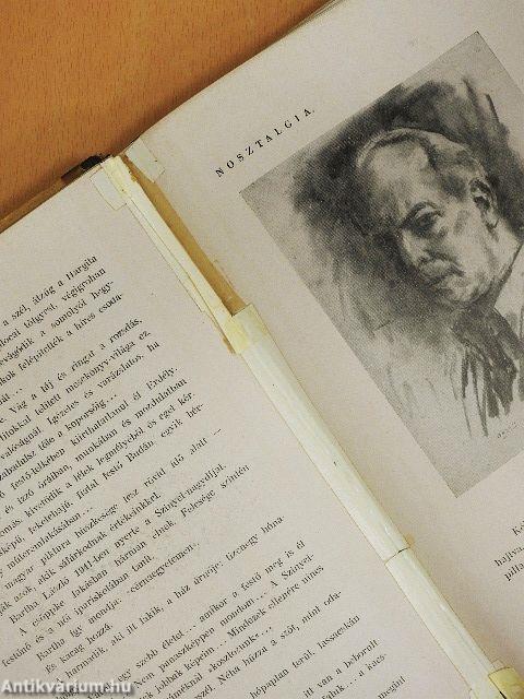 Paletta (rossz állapotú)