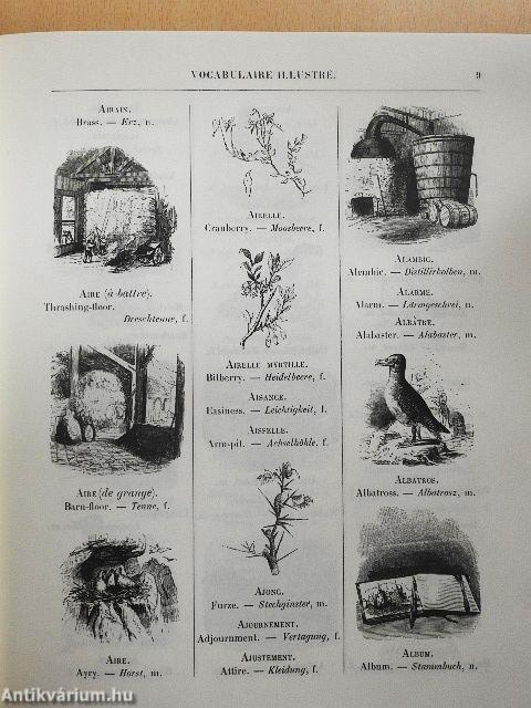 Das große illustrierte Wörterbuch