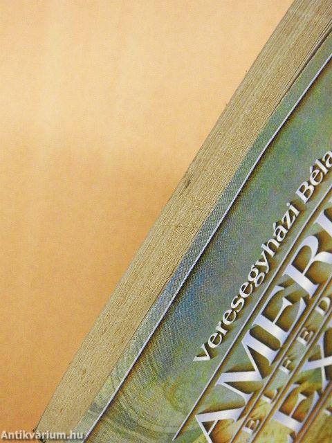 Amerika felfedezése lexikon