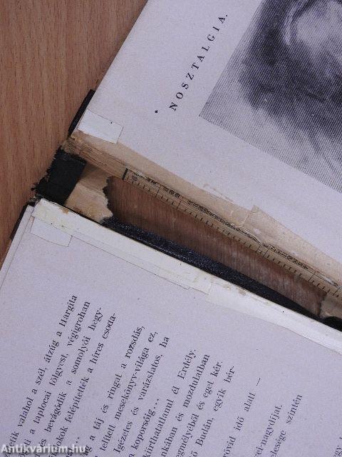 Paletta (rossz állapotú)