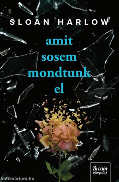 Amit sosem mondtunk el
