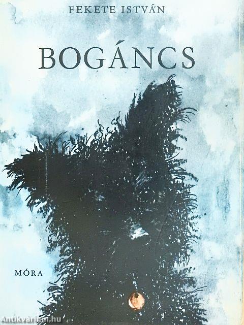 Bogáncs