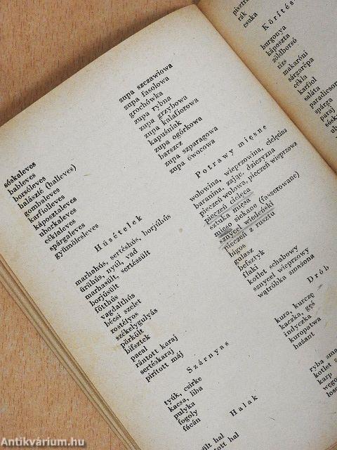 Lengyel társalgási zsebkönyv