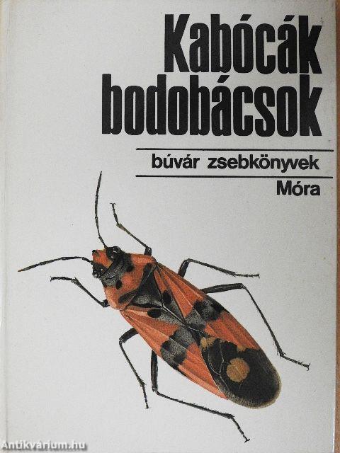 Kabócák, bodobácsok