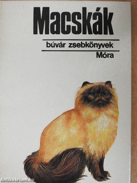 Macskák