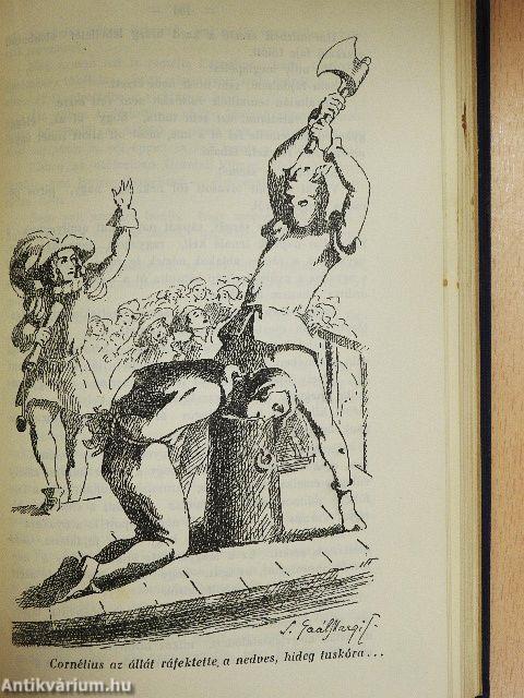 A fekete tulipán I-II.