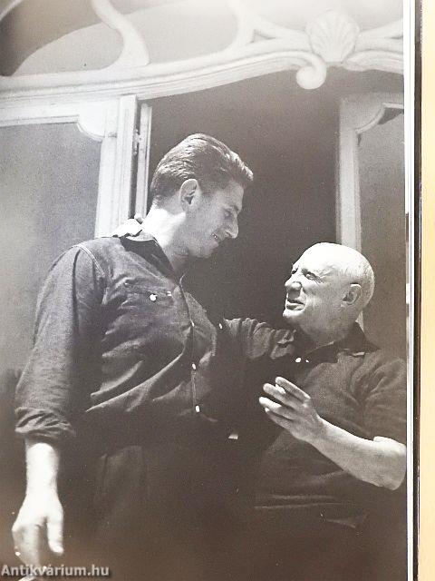 Barátom, Picasso