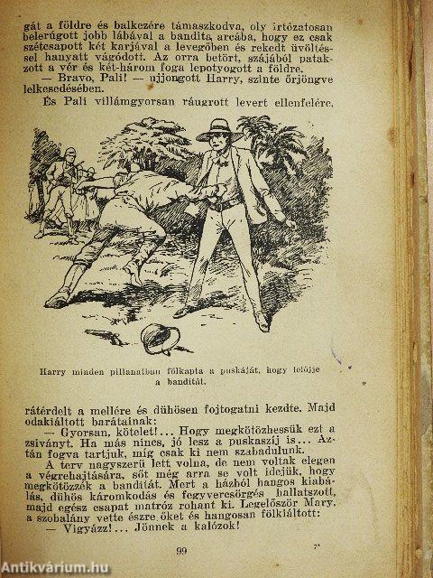 Szörnyetegek szigetvilága