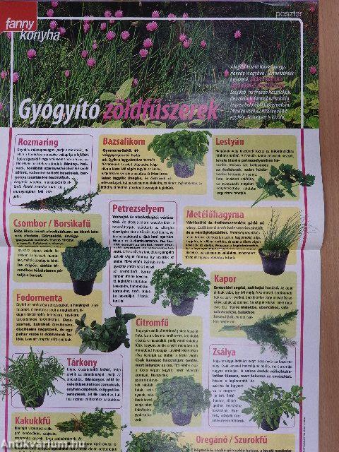 Fanny konyha 2007. július-augusztus