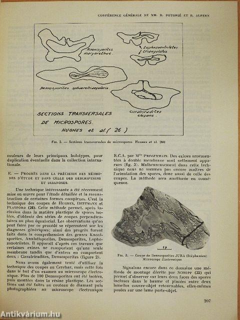 Principaux Aspects du Développement de la Palynologie du Houiller