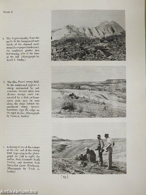 Paleoecology of the Lower Part of the Chinle Formation in the Petrified Forest