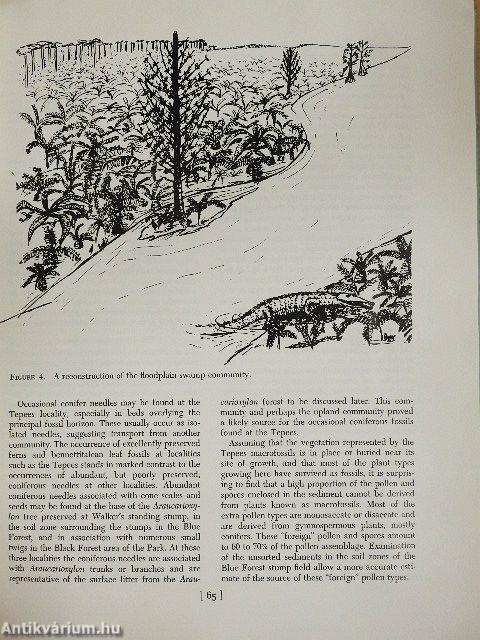 Paleoecology of the Lower Part of the Chinle Formation in the Petrified Forest