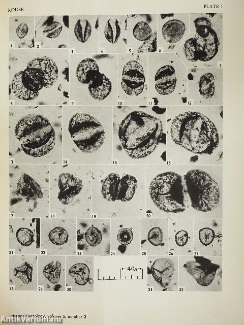 Plant microfossils from Kootenay coal-measures strata of British Columbia