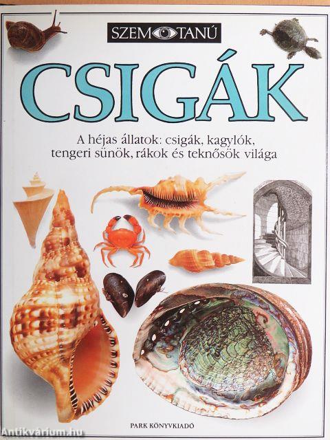 Csigák