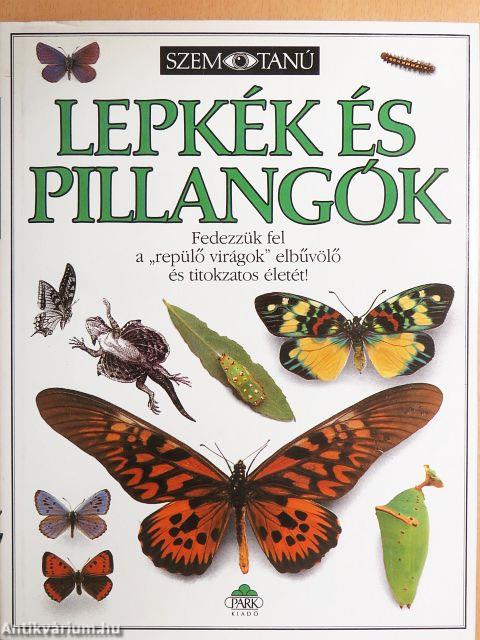 Lepkék és pillangók