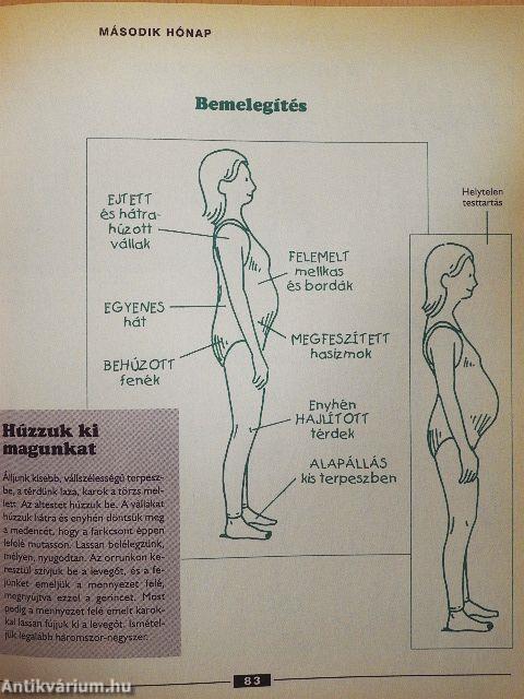 A terhesség mindentudó nagykönyve