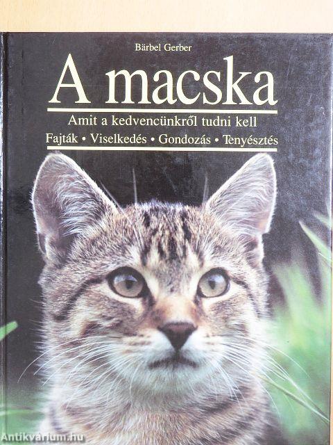 A macska