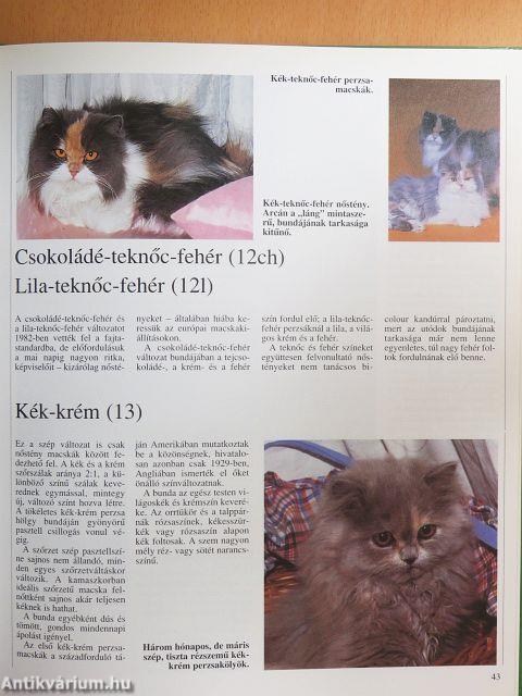 A macska