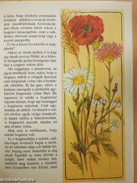 Mézesmázos haramiák