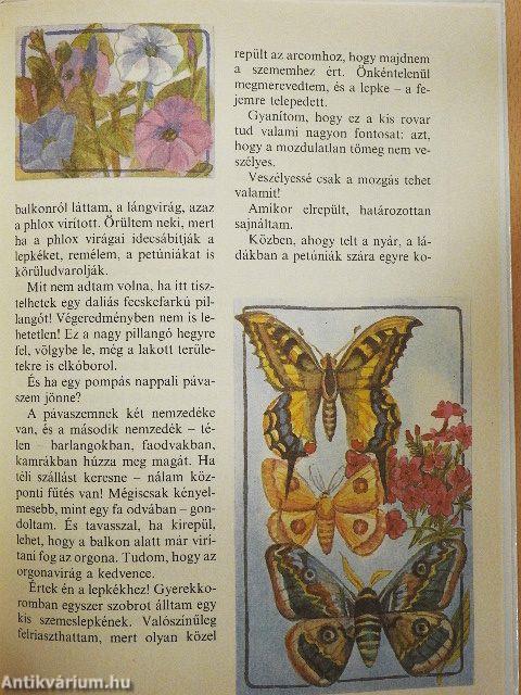 Mézesmázos haramiák