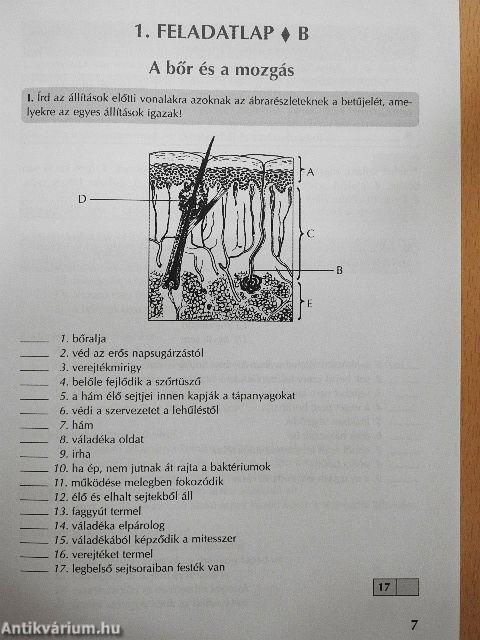 Témazáró feladatlapok biológiából 8. évfolyam