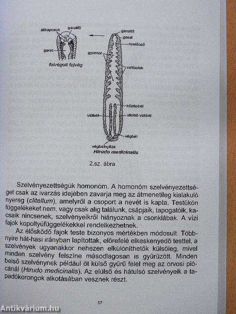 A piócázás nagykönyve