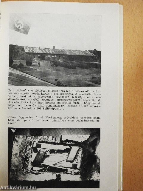 Barna gyalogok játszmája