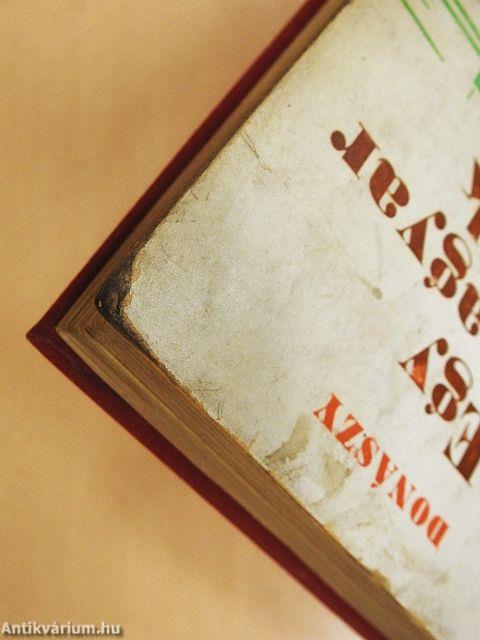 Egy magyar diák élete Mátyás király korában