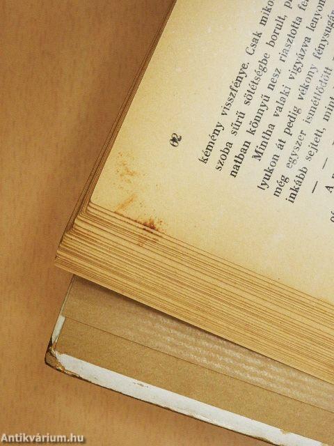 Egy magyar diák élete Mátyás király korában