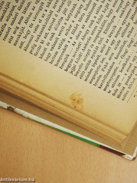 Egy magyar diák élete Mátyás király korában