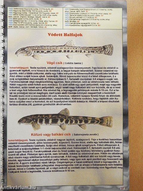 Horgászvizek Magyarországon 2.