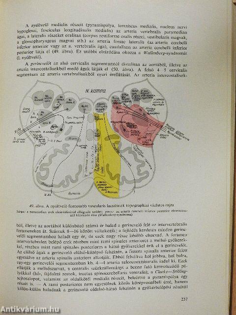 Neurologia