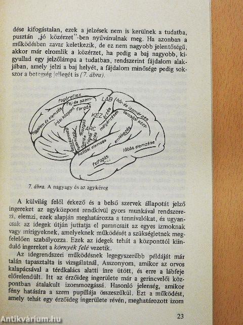 Szülőszoba, tessék belépni!